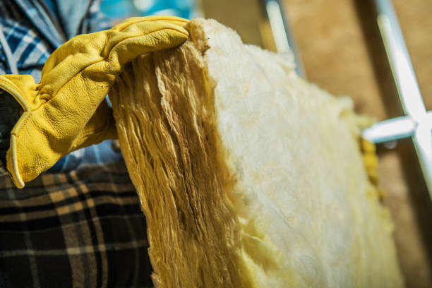 Best Blown-in Insulation  in Dravosburg, PA