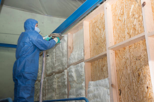 Best Professional Insulation Contractor  in Dravosburg, PA