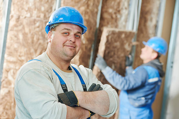 Best Energy-efficient Insulation  in Dravosburg, PA