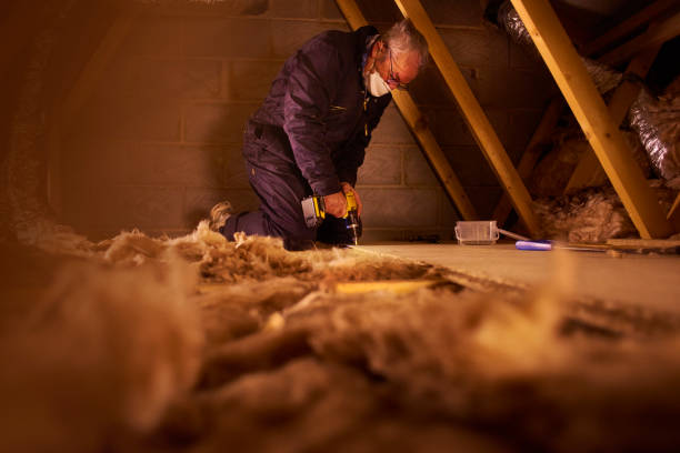 Best Insulation Repair Services  in Dravosburg, PA