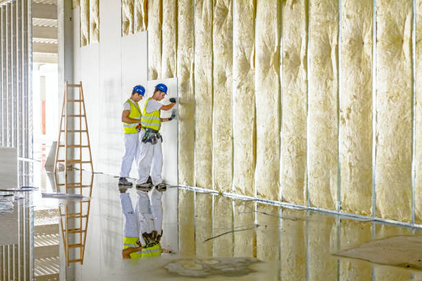Best Attic Insulation Installation  in Dravosburg, PA